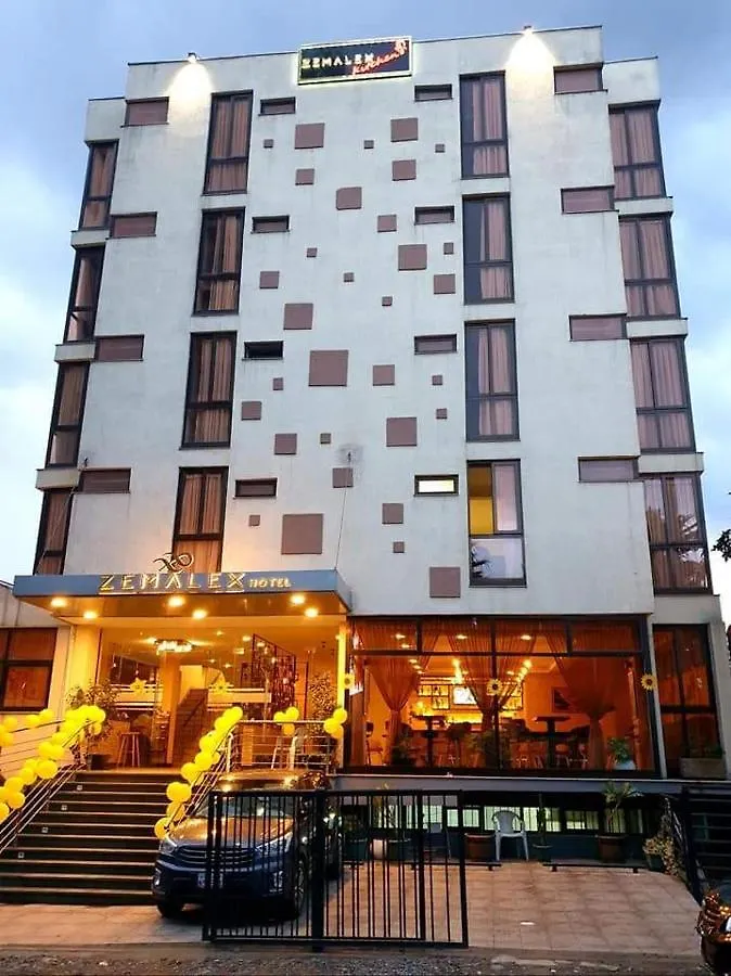 Zemalex Hotel Addis Ababa Ethiopia
